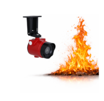 Détecteur de flammes